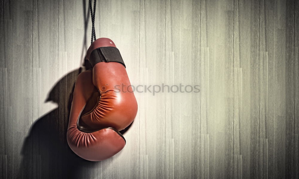 Similar – Image, Stock Photo very old black boxing gloves