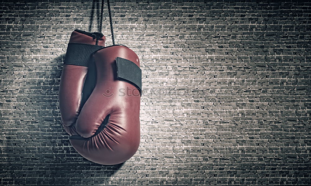 Similar – Image, Stock Photo very old black boxing gloves