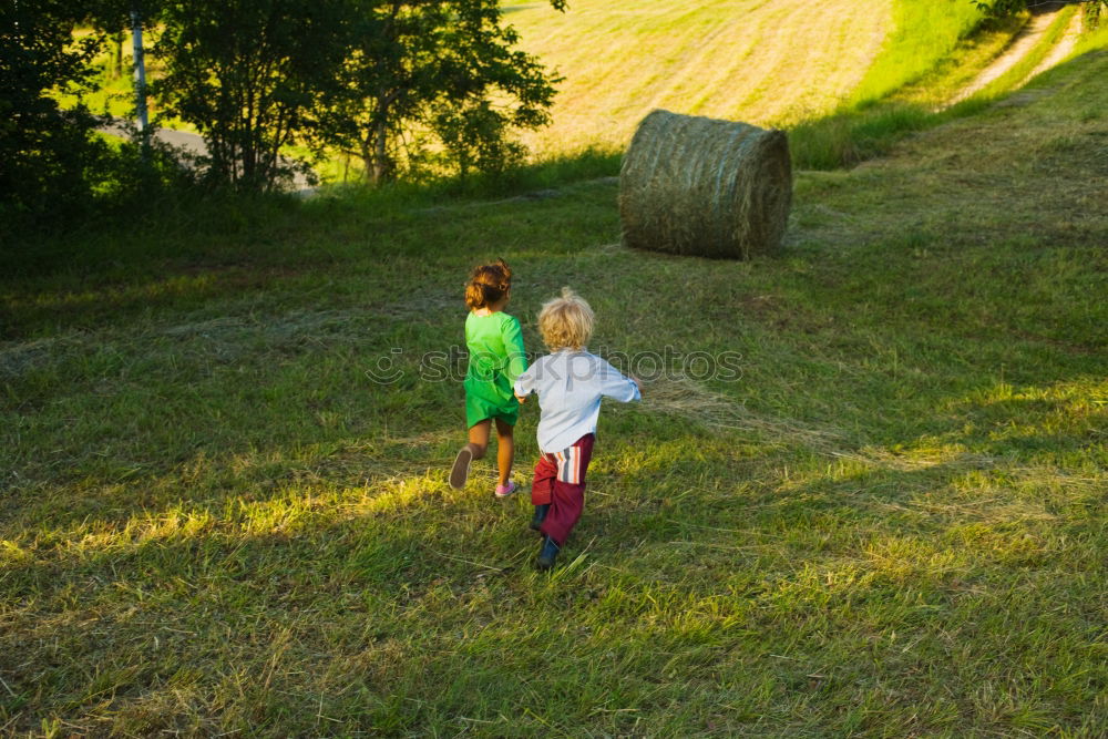 Similar – Forest and meadow photographer