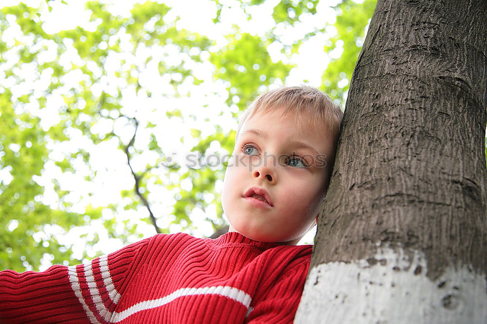 Similar – Toddler sitting in a tree