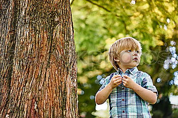 Similar – Child collects chestnuts