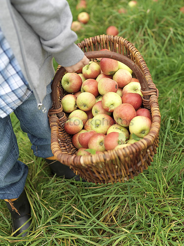 Similar – summer apples Food Fruit