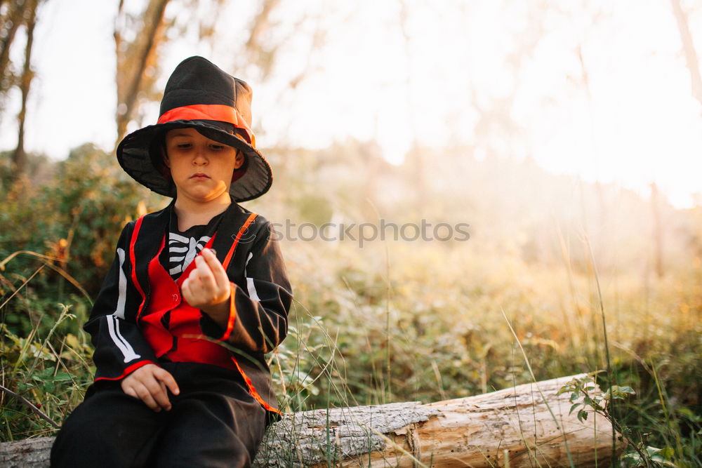 Image, Stock Photo Cheerful kid in costume posing on trunk