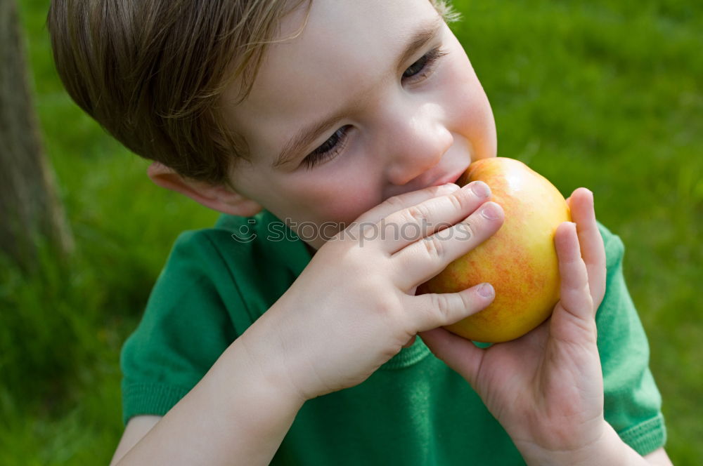 Similar – apple Fruit Apple