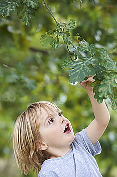 Similar – Image, Stock Photo Little baby is touching fresh spring leaves in her mother’s hug