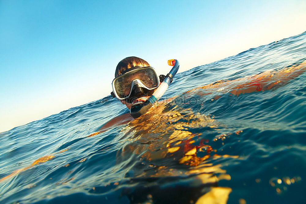 Similar – Image, Stock Photo Man in wetsuit swimming in ocean