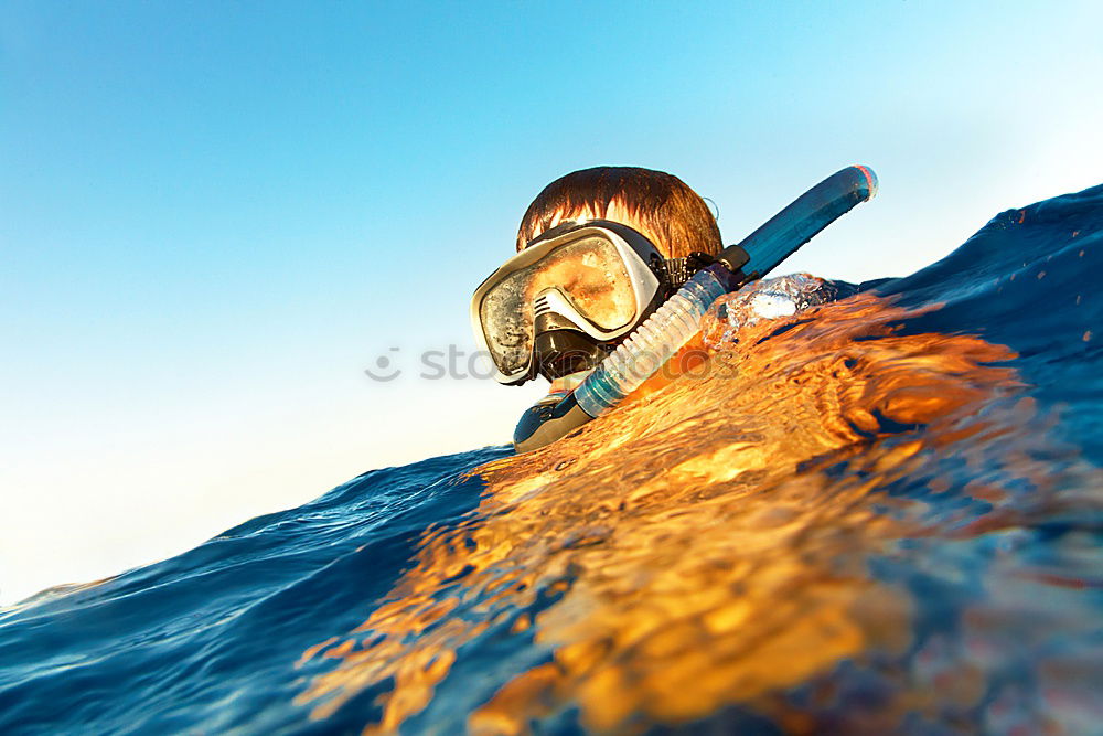 Similar – Image, Stock Photo Man in wetsuit swimming in ocean