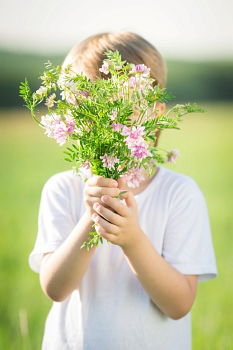 Similar – Image, Stock Photo meadow find Senses Calm