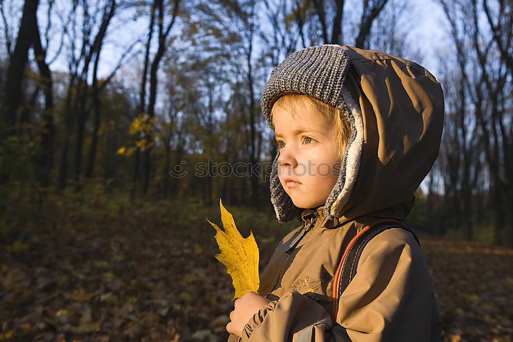 Similar – Children hands hold a yellow maple leaf