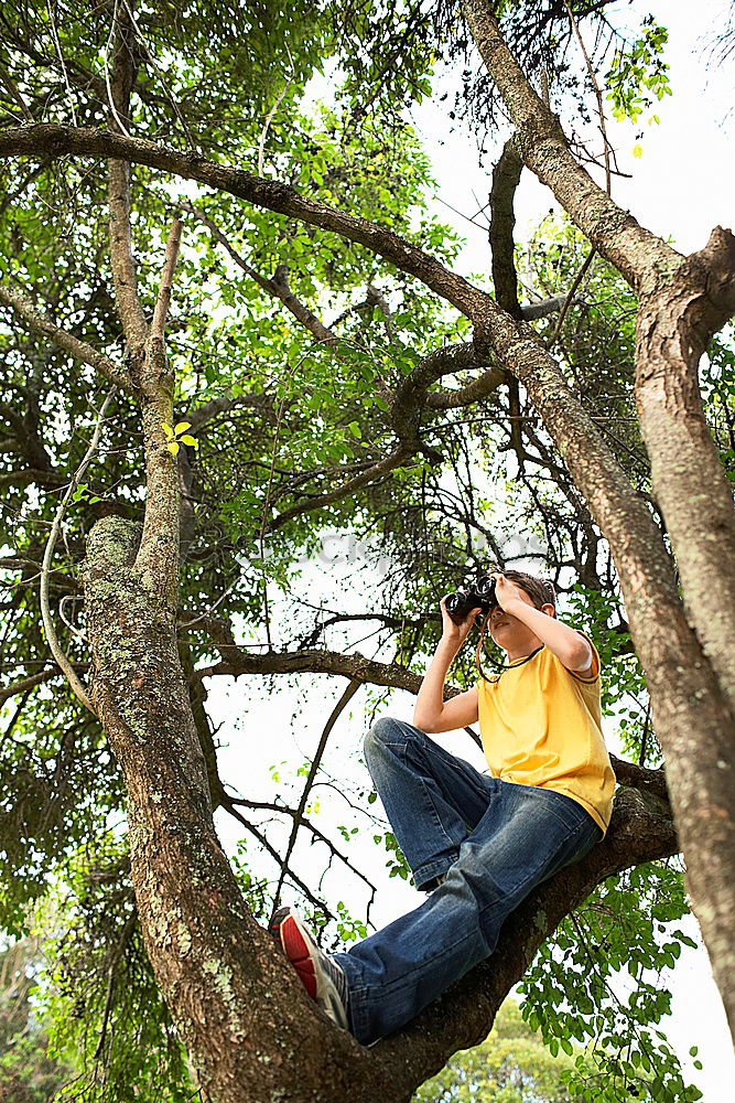 lumberjacks Wood Tent Tree