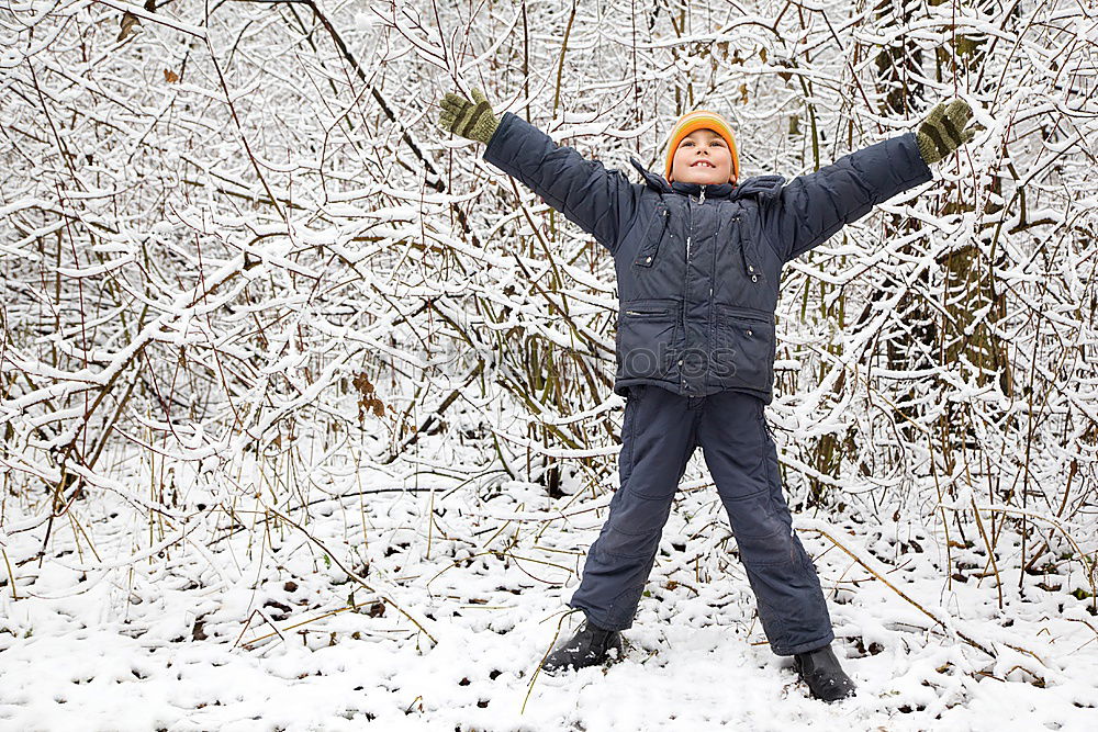 Image, Stock Photo Woman with blue jacket at the edge of forest during snowfall