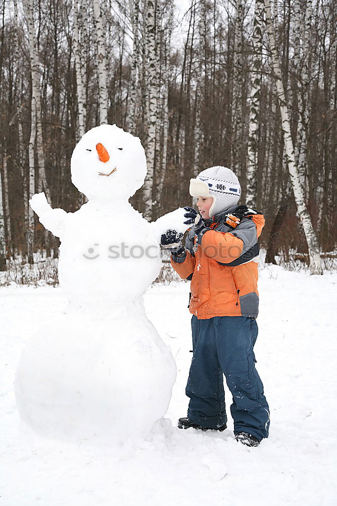 Similar – Image, Stock Photo Snowman and child in the yard