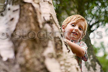 Similar – Image, Stock Photo budding Tree Tree bark