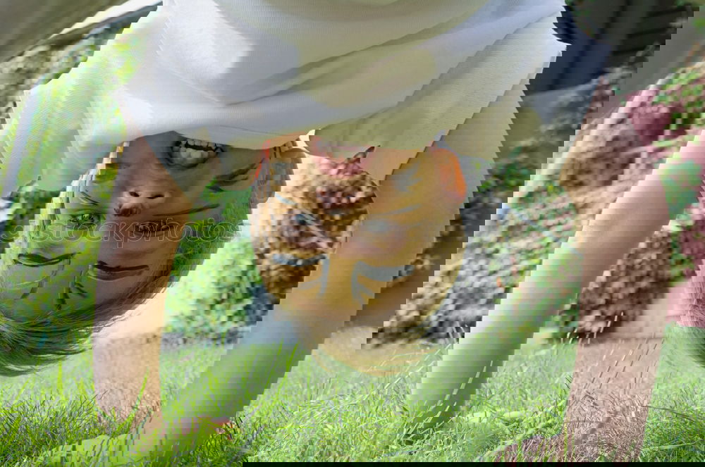 Similar – Image, Stock Photo Girls doing gymnastics and biking in the park ll