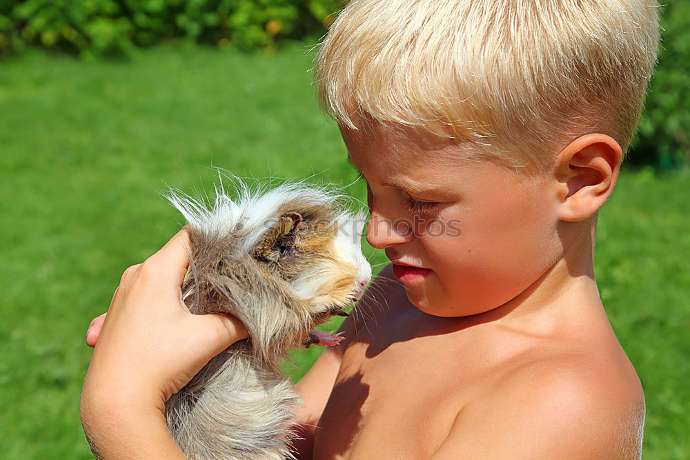 Similar – Little boy sitting with farm chickens