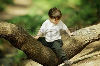 Similar – Image, Stock Photo inquisitiveness