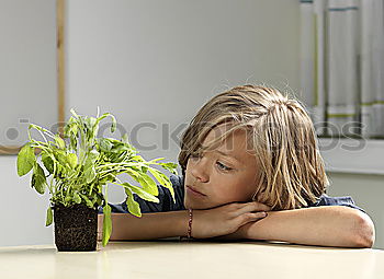 kid girl is hiding behind house plant in pot