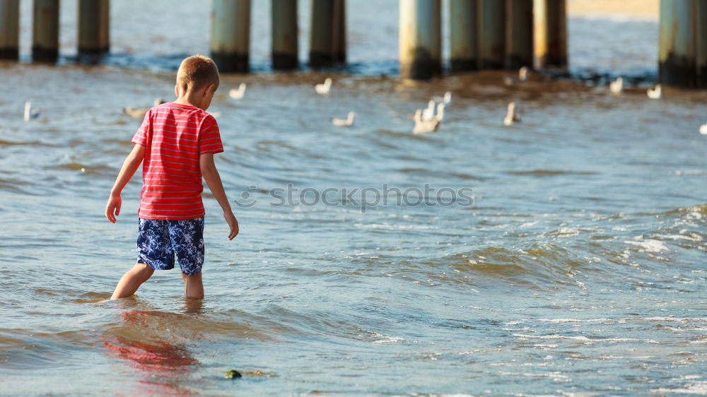 Similar – seagull Child Yellow