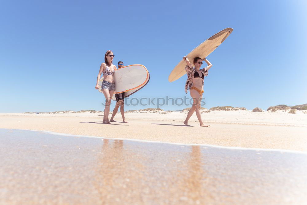 Similar – Image, Stock Photo Group of younf adult friends walking on the beach