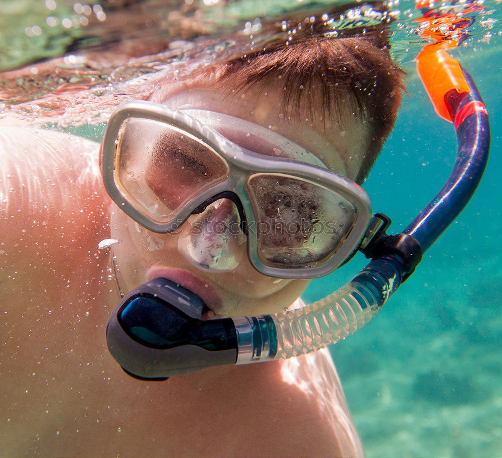 Similar – Image, Stock Photo Not swimmer?! Dive