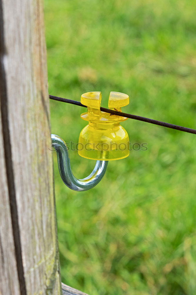 Image, Stock Photo found pacifier hangs visibly on an improvised fence made of rusty construction steel mats. Baby pacifier