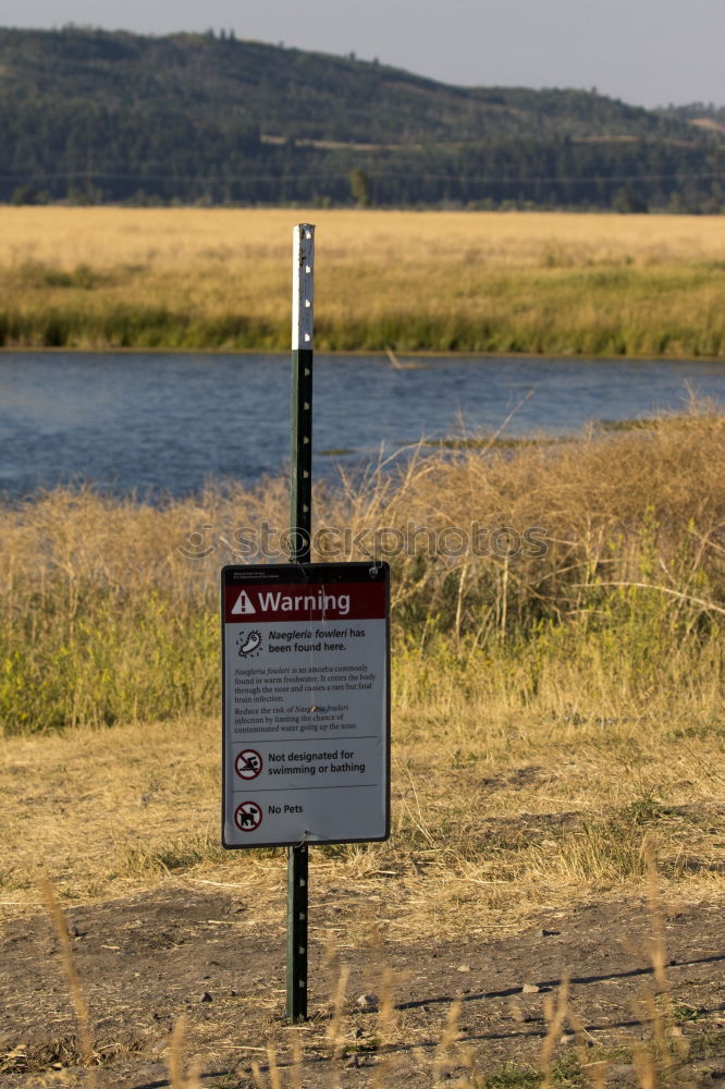 Similar – Image, Stock Photo reverse Wood Tin Pond Lake