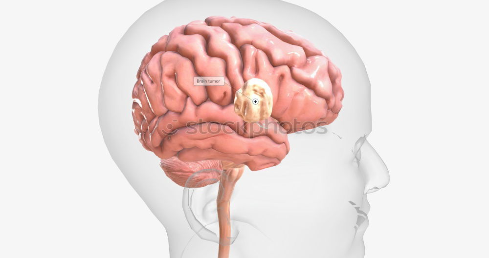 Similar – Image, Stock Photo brain