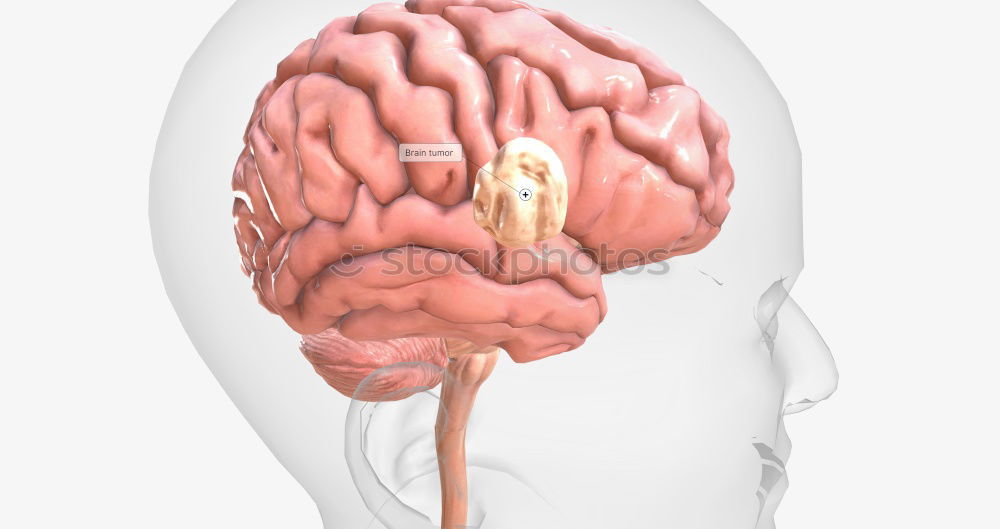 Similar – Image, Stock Photo brain