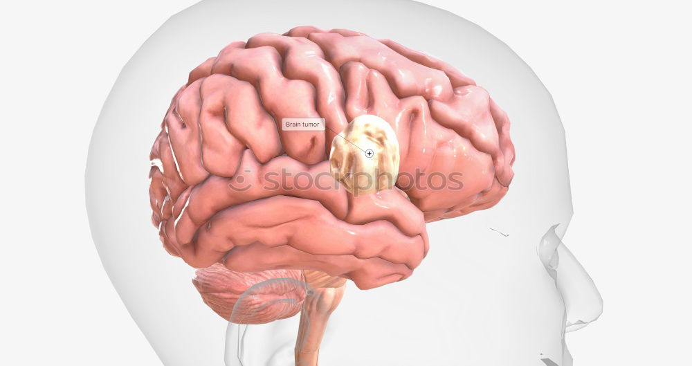 Image, Stock Photo brain