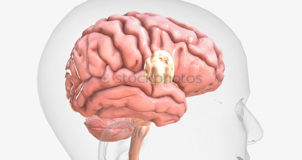 Similar – Image, Stock Photo brain