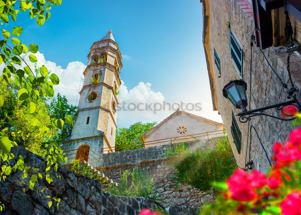 Similar – Image, Stock Photo Stuttgart in spring Nature