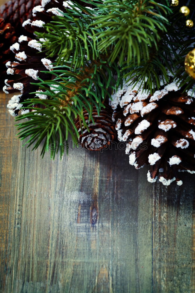 Similar – Image, Stock Photo Christmas or New Year background with copy space. Christmas decorations on dark background, top view