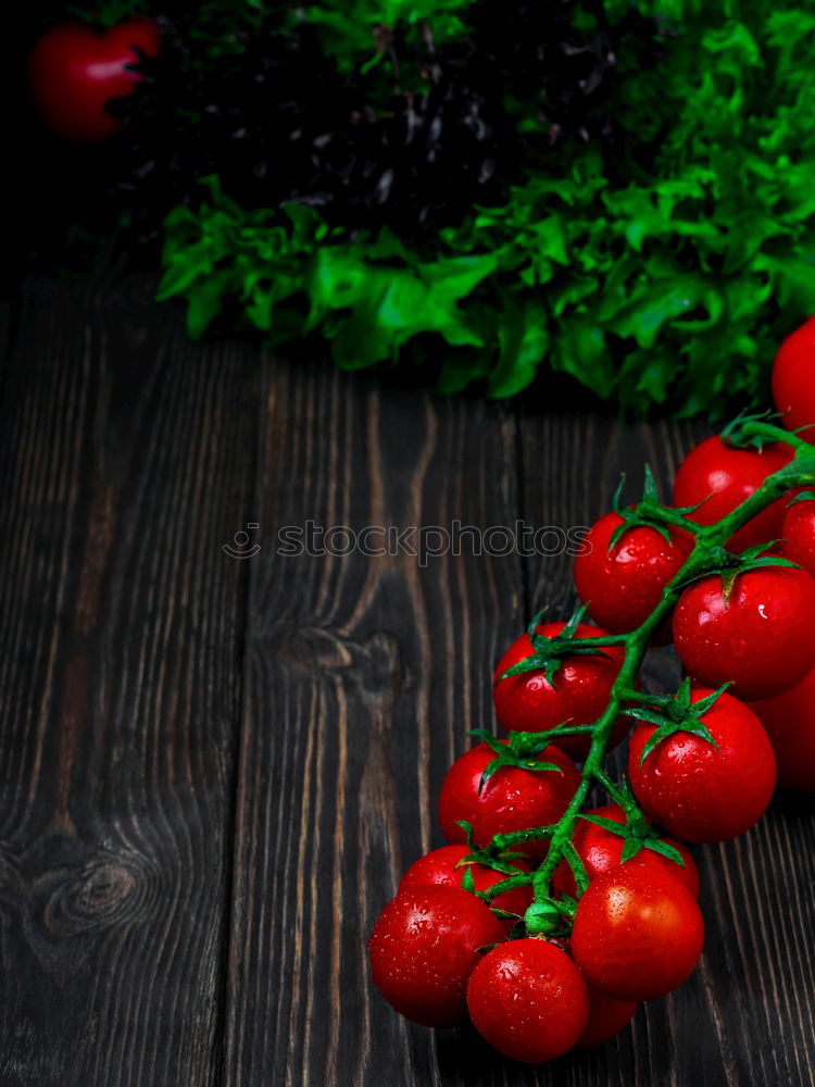 Similar – Image, Stock Photo Cherry tomatoes and basil