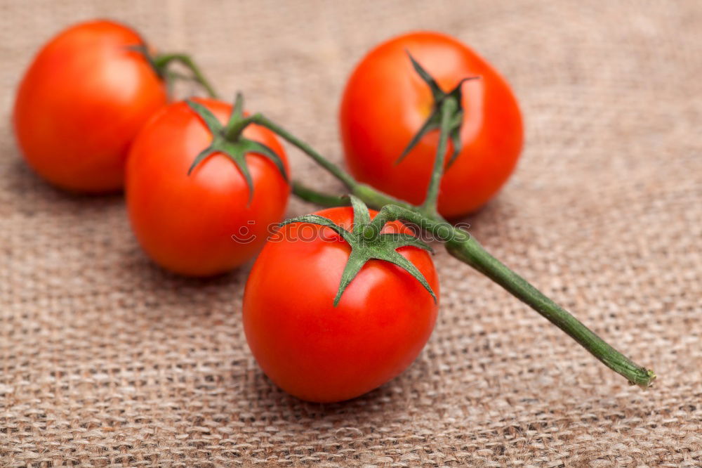 Similar – Image, Stock Photo Cocktail tomatoes Food