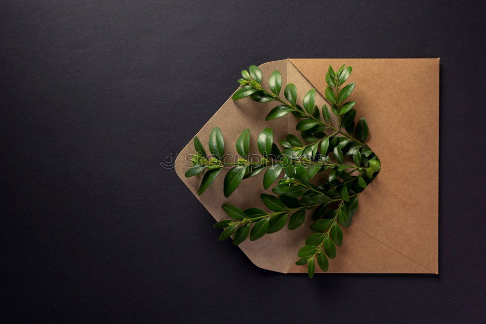 Image, Stock Photo I have no idea! A blank piece of paper with a pen and a vase of flowers on a wooden table