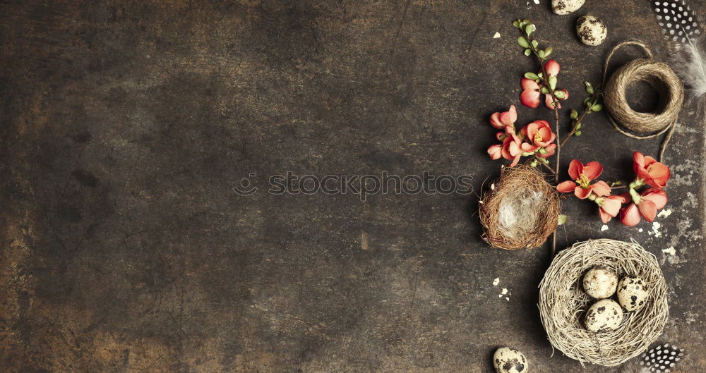 Similar – Image, Stock Photo Bratwürste Background Food