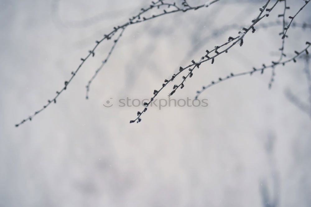 Similar – Image, Stock Photo wire mesh fence Technology