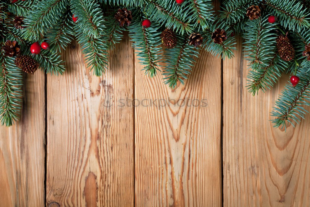 Christmas tree on wooden background