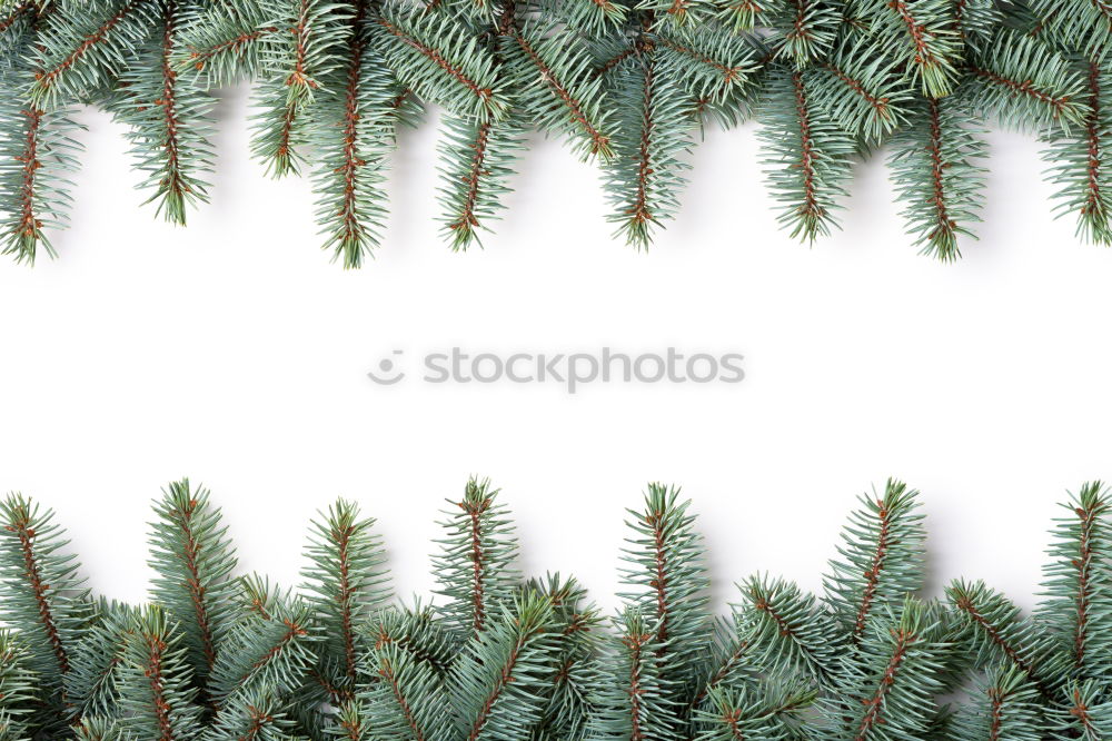 Similar – Image, Stock Photo Christmas preparation