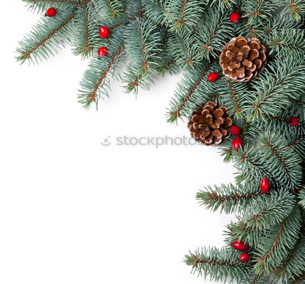 Similar – Christmas tree Hang