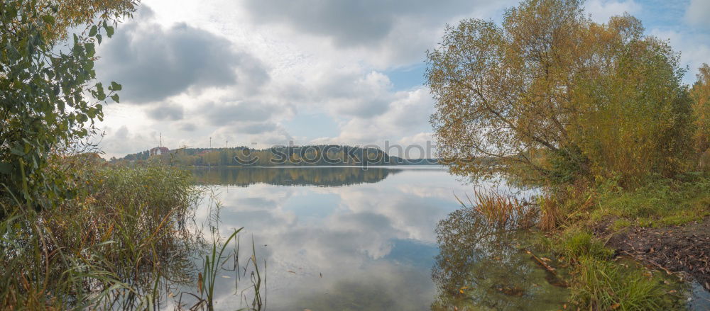 Similar – Mettnau Lake Common Reed