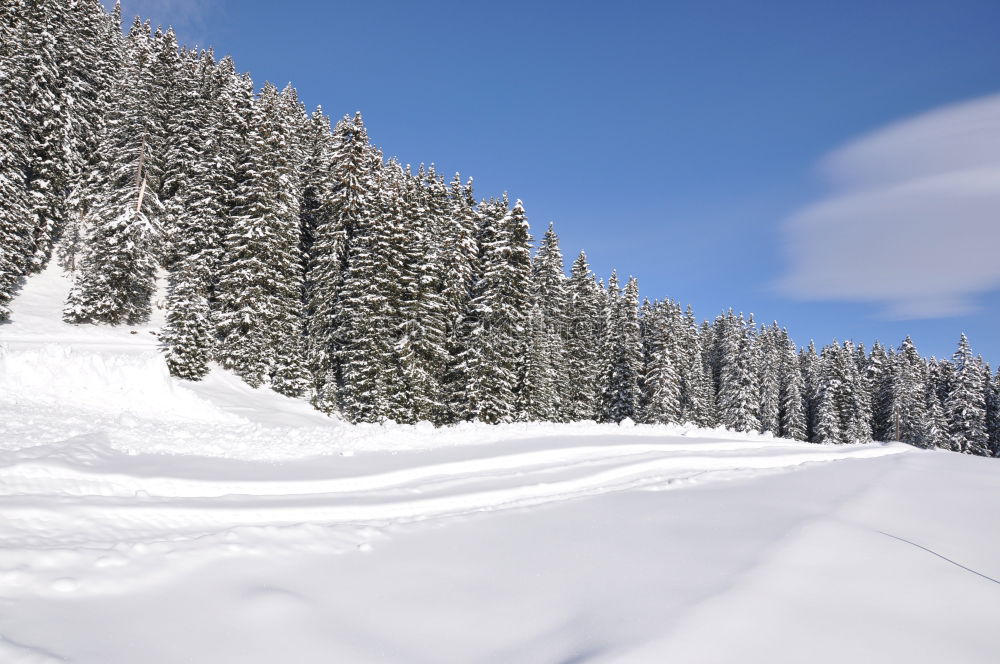 Similar – ….Richtung Frühling….?