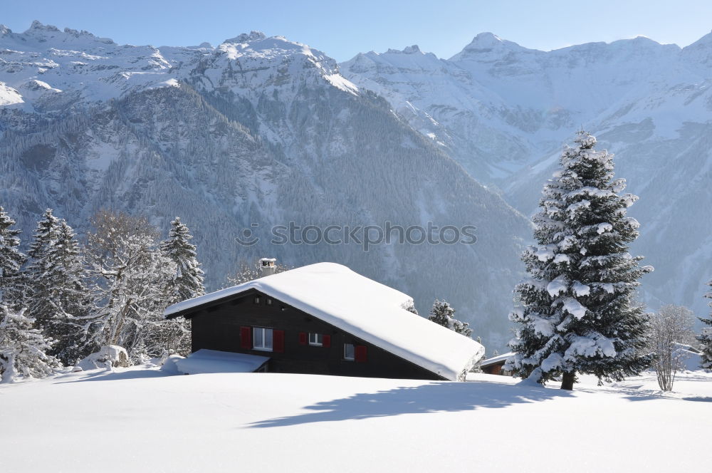 Similar – Image, Stock Photo snowy mountains Winter