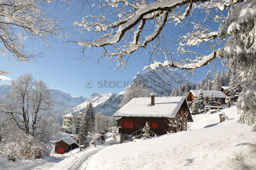 Similar – Image, Stock Photo snowy mountains Winter