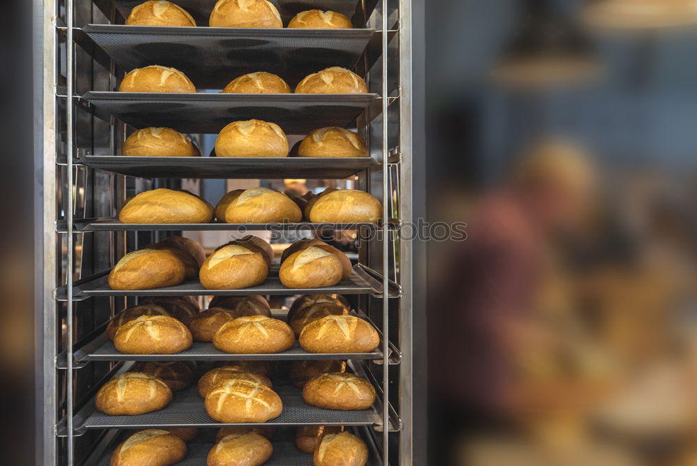 Fresh loaves of bread on tray racks. Bread bun on bakery shelves