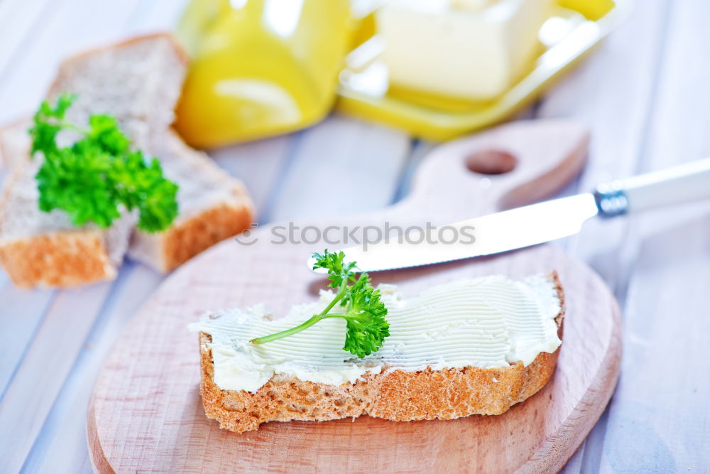 Similar – Image, Stock Photo Italian cheese burrata, olive oil and bread top view