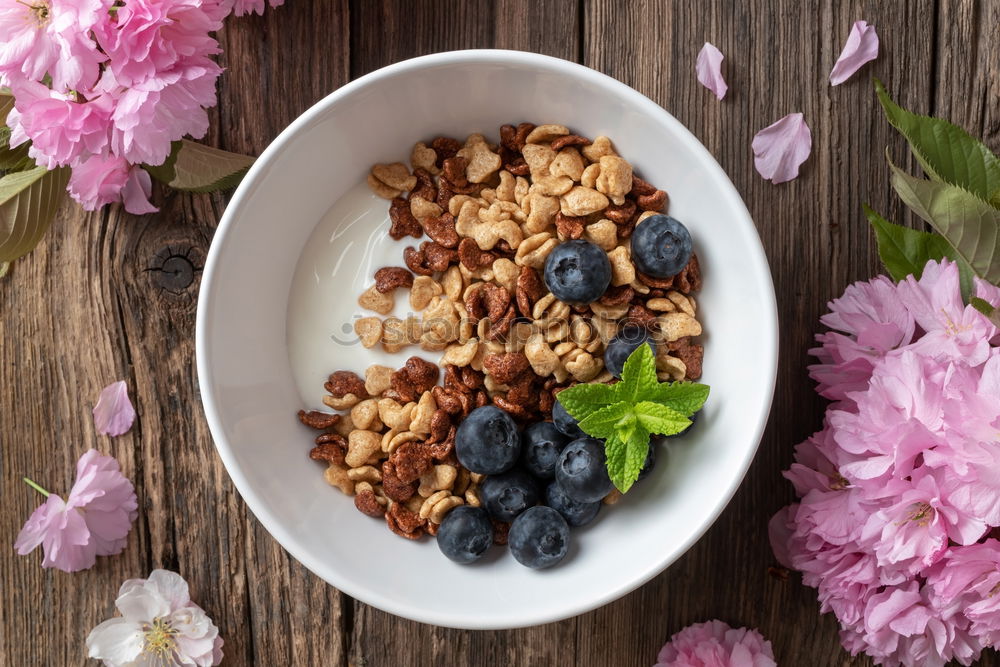 Similar – Image, Stock Photo Breakfast Cereal with Blueberries and Milk