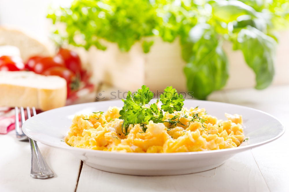 Similar – Image, Stock Photo Female hands holding casserole dish with pasta casserole