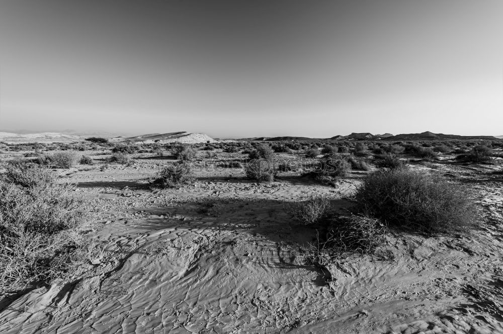 Similar – Namib Nature Landscape