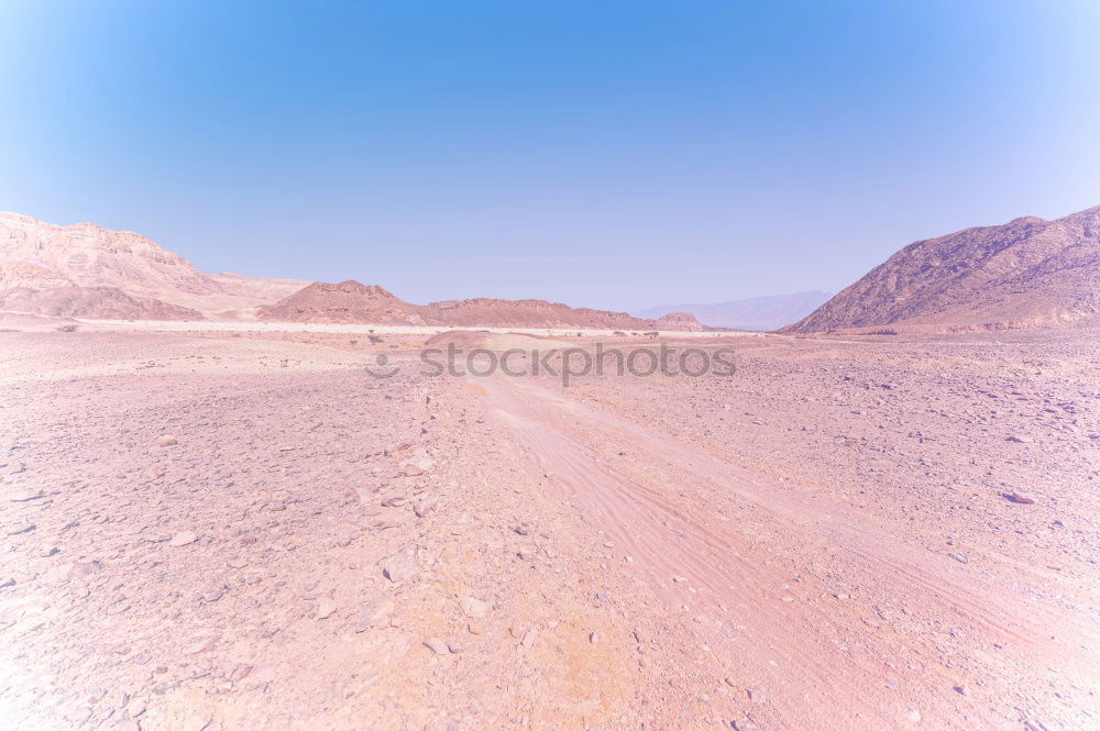 steppe Landscape